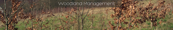 Woodland Management from Heritage Environmental Contractors